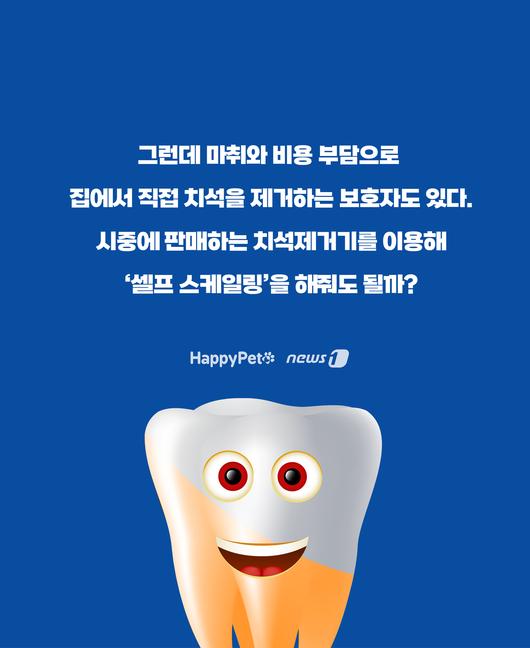 뉴스1