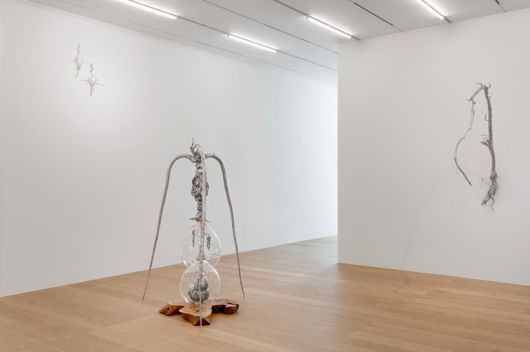 오묘초 '딱 걸린 진화의 현장' 2024. 송은 제공.