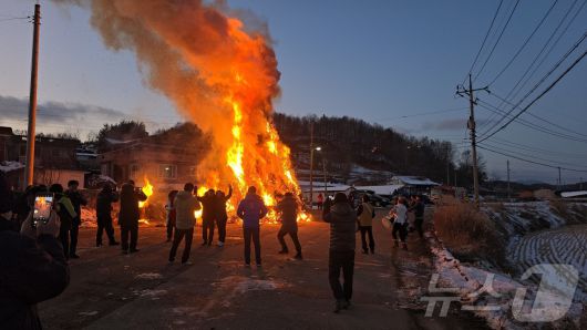 뉴스1