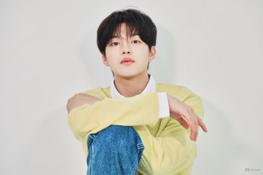 뉴스1