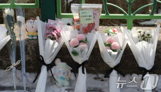 뉴스1