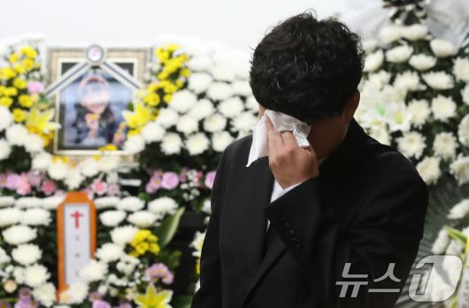 뉴스1