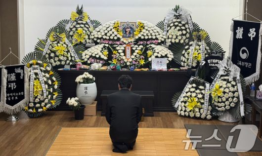 뉴스1