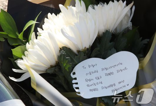 뉴스1