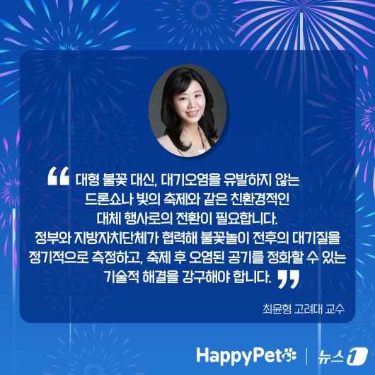 불꽃놀이 펫카드 ⓒ 뉴스1