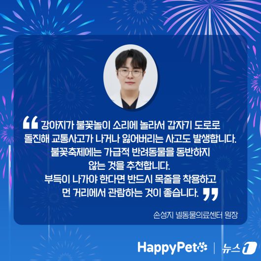 불꽃놀이 펫카드 ⓒ 뉴스1