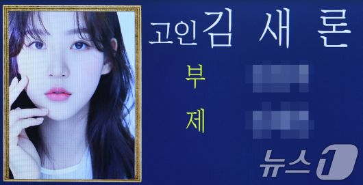 뉴스1