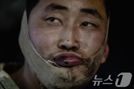 뉴스1