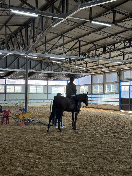 배우 신민아 블로그