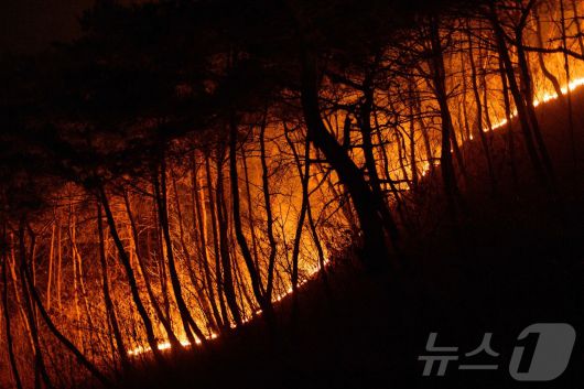 안동 산불 ⓒ AFP=뉴스1 ⓒ News1