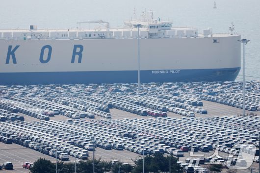 도널드 트럼프 미국 대통령의 상호관세 발표를 앞둔 가운데 지난달 31일 오후 경기 평택시 포승읍 평택항 자동차전용부두에 수출용 차량들이 세워져 있다. 2025.3.31/뉴스1 ⓒ News1 김영운 기자
