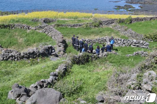 4·3 당시 초토화돼 터만 남은 제주시 화북1동 곤을동 마을터.(자료사진) ⓒ News1