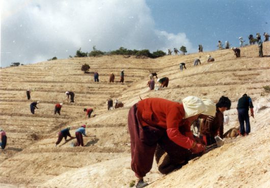 '산림녹화기록물' 중 1973~1977년 영일만 복구사진(국가유산청 제공)