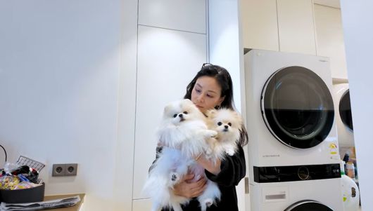 배우 고소영 유튜브