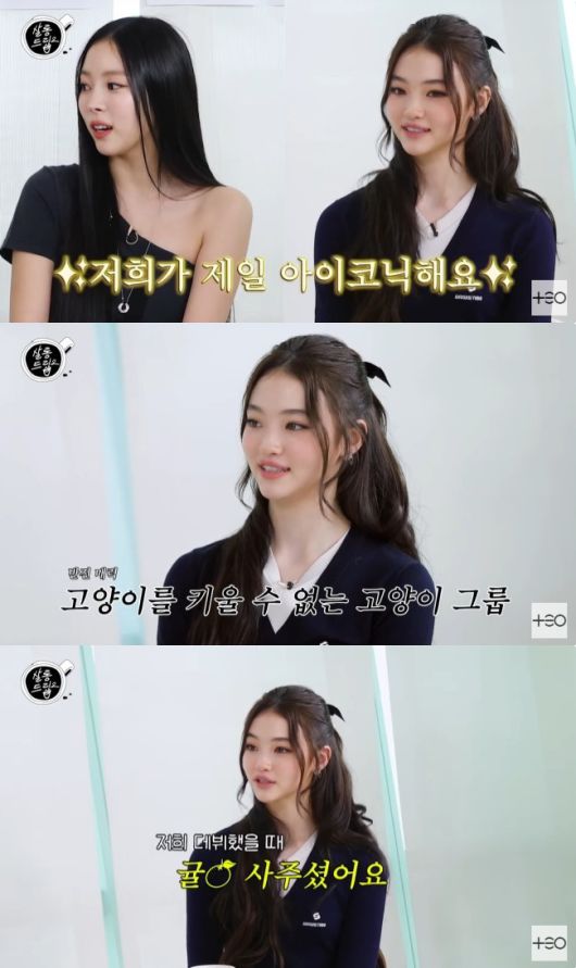 '살롱드립2' 캡처