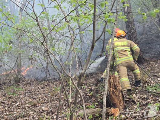 26일 강원도 인제군 상남면 야산에서 산불이 발생해 연기가 나고 있다. 산불이 확대되자 산림·소방당국 이날 오후 2시 30분을 기해 '산불 1단계'를 발형하고 진화 작업 중이다.(강원도소방본부 제공, 재판매 및 DB 금지) 2025.4.26/뉴스1