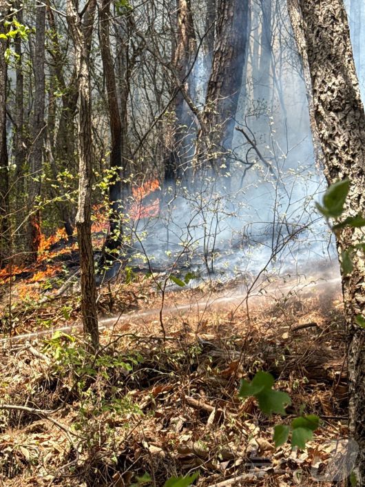 26일 강원도 인제군 상남면 야산에서 산불이 발생해 연기가 나고 있다. 산불이 확대되자 산림청은 이날 오후 2시 30분을 기해 '산불 1단계'를 발형하고 진화 작업 중이다.(강원도소방본부 제공, 재판매 및 DB 금지) 2025.4.26/뉴스1 ⓒ News1 윤왕근 기자