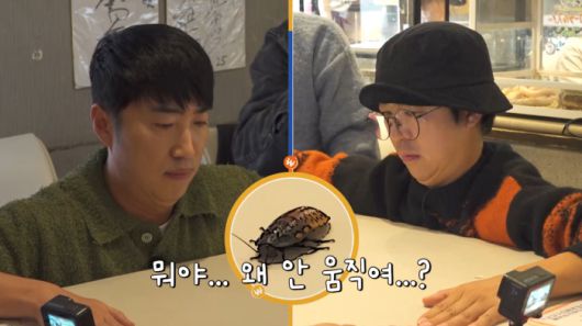 채널S, SK브로드밴드, K·star, NXT