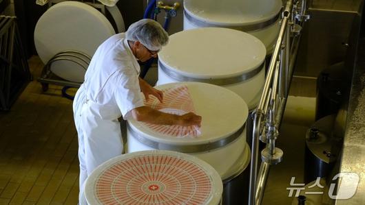 에멘탈 치즈가 만들어지는 과정(스위스정부관광청 제공)