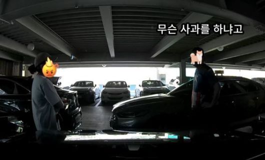 (온라인 커뮤니티 '보배드림' 갈무리)