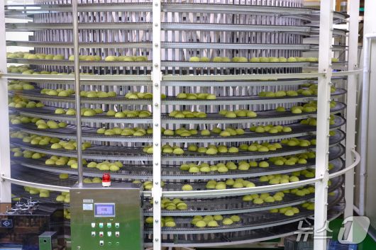 경기도 안성의 푸드코아 공장 내부 모습 . (메인비즈협회 제공)