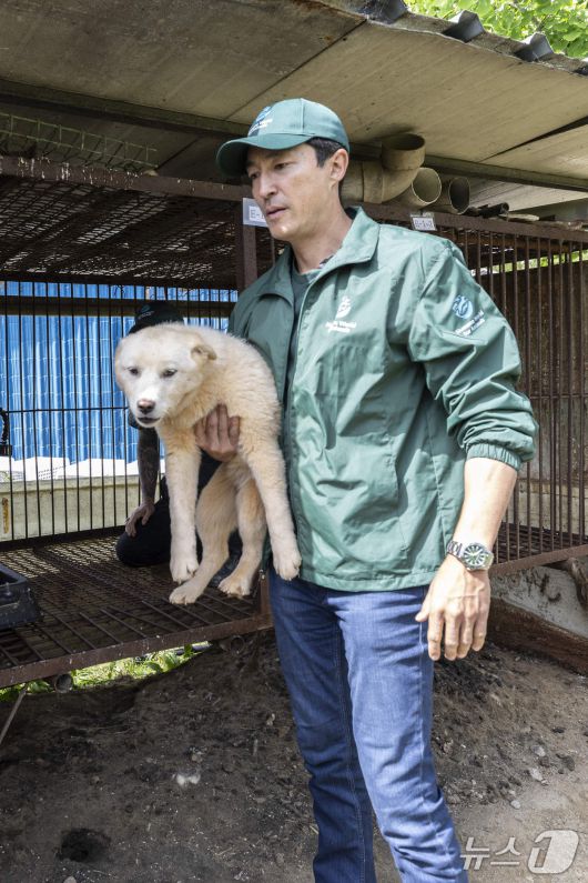 다니엘 헤니가 개농장 뜬장에서 꺼낸 강아지를 안고 있다(휴메인 월드 포 애니멀즈 제공). ⓒ 뉴스1