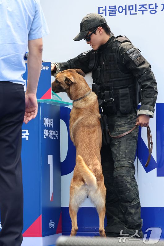 13일 대구 중구 동성로 광장에서 이재명 더불어민주당 대통령 후보의 집중유세 시작 전 경찰 특공대와 폭발물 탐지견이 수색을 하고 있다. (공동취재) 2025.5.13/뉴스1 ⓒ News1 안은나 기자