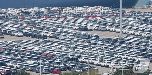 29일 경기 평택시 포승읍 평택항 자동차전용부두에 수출용 차량들이 세워져 있는 모습. 2025.4.29/뉴스1 ⓒ News1 김영운 기자