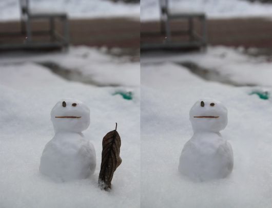 클로바X의 AI 지우개 기능으로 나뭇잎을 지우기 전(왼쪽)과 후.(클로바X 화면 갈무리)