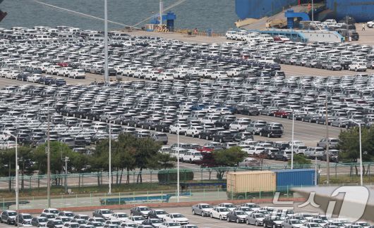 20일 경기 평택시 포승읍 평택항 자동차전용부두에 수출용 차량들이 세워져 있다. 2025.5.20/뉴스1 ⓒ News1 김영운 기자