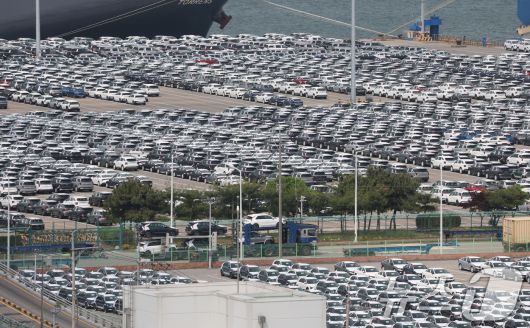 20일 경기 평택시 포승읍 평택항 자동차전용부두에 수출용 차량들이 세워져 있다. 산업통장자원부가 이날 발표한 '2025년 4월 자동차산업 동향'에 따르면 4월 대미 자동차 수출은 28억 9000만 달러로 전년 대비 19.6% 줄었고 1월~4월 대미 누적 수출액은 106억 6100만 달러로 전년 같은 기간 대비 13.6% 줄었다고 발표했다. 전기차 캐즘(Chasm·일시적 수요 정체) 여파로 인한 판매 부진과 지난달 3일부터 시행된 미국의 25% 자동차 품목 관세 여파가 국내 자동차 업계에 본격적인 영향을 미치기 시작한 것으로 보인다. 2025.5.20/뉴스1 ⓒ News1 김영운 기자