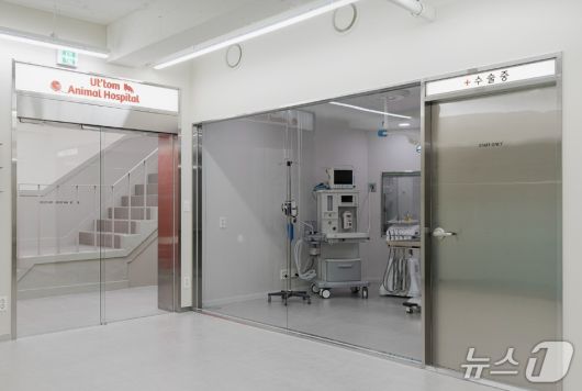으뜸동물의료센터 치과 수술실(동물병원 제공) ⓒ 뉴스1