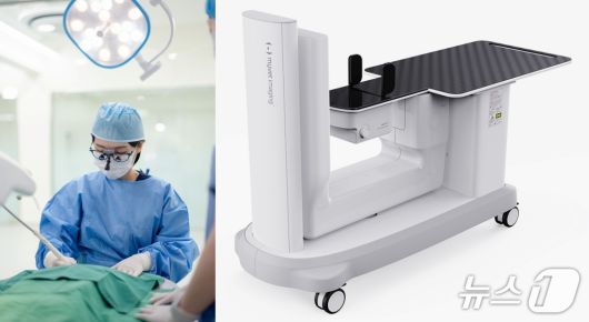 반려동물 치료를 하고 있는 강지아 으뜸동물의료센터 원장과 동물용 치과 전용 CT(동물병원, 우리엔 제공) ⓒ 뉴스1