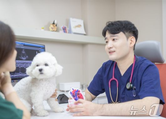 류승욱 으뜸동물의료센터 원장이 반려견 심장 질병 상담을 하고 있다(동물병원 제공). ⓒ 뉴스1