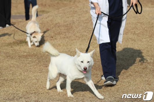 (사진은 기사 내용과 무관함) / 뉴스1 ⓒ News1