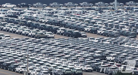 13일 경기 평택시 포승읍 평택항 자동차전용부두에 수출용 차량들이 세워져 있다. 2025.6.13/뉴스1 ⓒ News1 장수영 기자