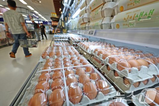 3일 서울시내 한 대형마트에 계란이 진열돼 있다. 축산물품질평가원 축산유통정보에 따르면 지난달 30일 기준 계란 특란 한 판(30구)의 도매가는 6079원으로 지난해 동월 평균(5239원)보다 16.0%(840원) 상승한 것으로 나타났다. 한 달 전 평균 가격(5685원)과 비교해도 6.9%(394원) 올랐다. 2025.6.3/뉴스1 ⓒ News1 황기선 기자