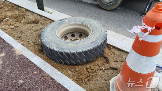 뉴스1