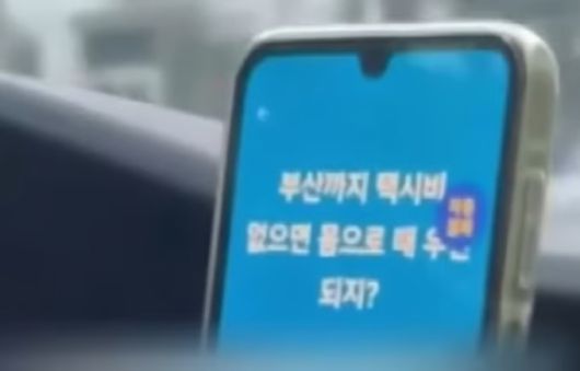 (틱톡 갈무리)