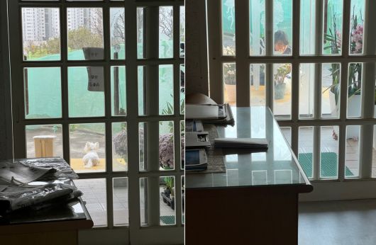 마당에 앉아있다 손님 맞는 까멍이(심서현 제공) ⓒ 뉴스1