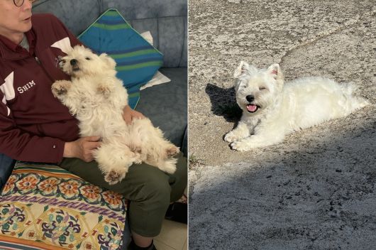 김포의 마스코트 '까멍이' (심서현 제공)ⓒ 뉴스1