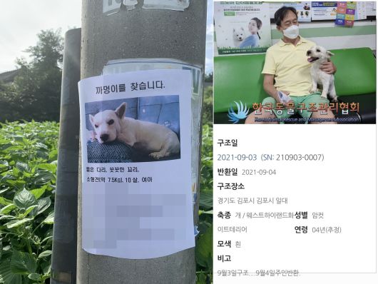 실종됐다 하루 만에 찾은 까멍이(심서현 제공) ⓒ 뉴스1