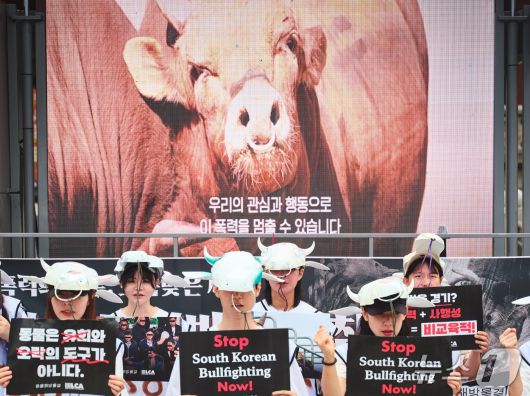 '소싸움 폐지 촉구 시민행동'은 26일 보신각 앞에서 소싸움 폐지를 촉구했다(동물해방물결 제공). ⓒ 뉴스1