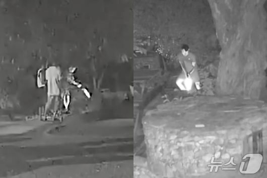 (비글구조네트워트 갈무리)