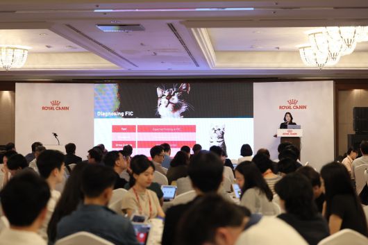 지난 6일 로얄캐닌 심포지엄에서 강연하고 있는 이기쁨 고려동물메디컬센터 원장(로얄캐닌 제공)