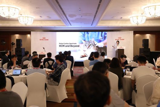 김미령 이승진동물의료센터 마이캣클리닉 원장이 로얄캐닌 심포지엄에서 강연하고 있다(로얄캐닌 제공). ⓒ 뉴스1