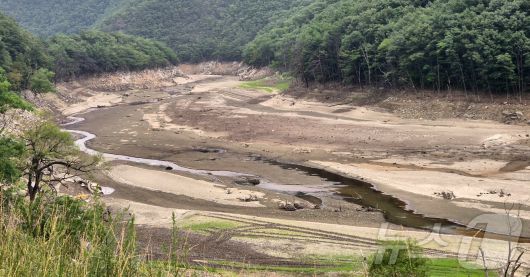 8일 강원 강릉시 성산면 오봉저수지 인근 도마천 일대가 바닥을 드러내고 있다. 이날 기준 오봉저수지 저수율은 32%로, 전국 평균(62.2%)보다 현저히 낮은 수준을 보이고 있다. 2025.7.8/뉴스1 ⓒ News1 윤왕근 기자