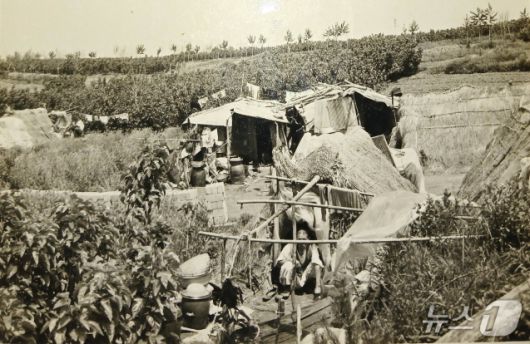 1970년대 김제시 개미마을 모습.(김제시 제공, 재판매 및 DB 금지)/뉴스1