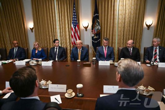 도널드 트럼프 미국 대통령이 8일(현지시간) 워싱턴DC 백악관에서 내각 회의를 주재하고 있다. ⓒ AFP=뉴스1 ⓒ News1 류정민 특파원