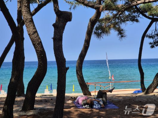 9일 강릉 송정해변을 찾은 시민과 나들이객들이 솔밭 그늘에서 무더위를 식히고 있다. 2025.7.9/뉴스1 윤왕근 기자